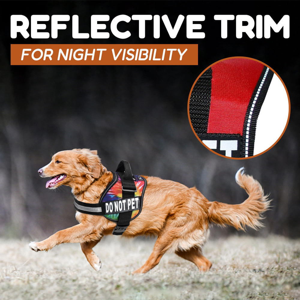 Doggie Stylz reflectivo-caminatas-nocturnas; mayor visibilidad para paseos al anochecer.