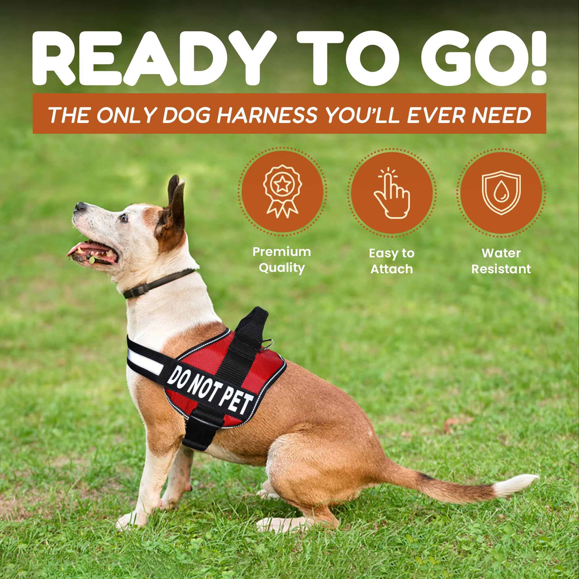 Doggie Stylz revestimiento-neopreno; acolchado suave que mantiene al perro cómodo.