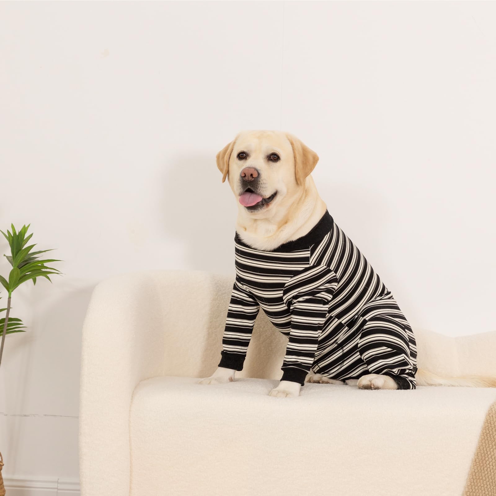 DoggieKit mono recuperación perro lavado rápido: tela transpirable y secado rápido.