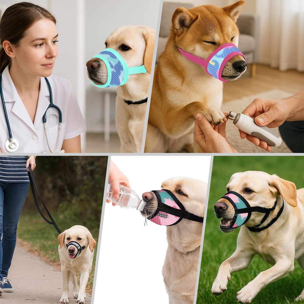DoggieKit mordaza para visitas al veterinario, controla mordisqueo durante la revisión.