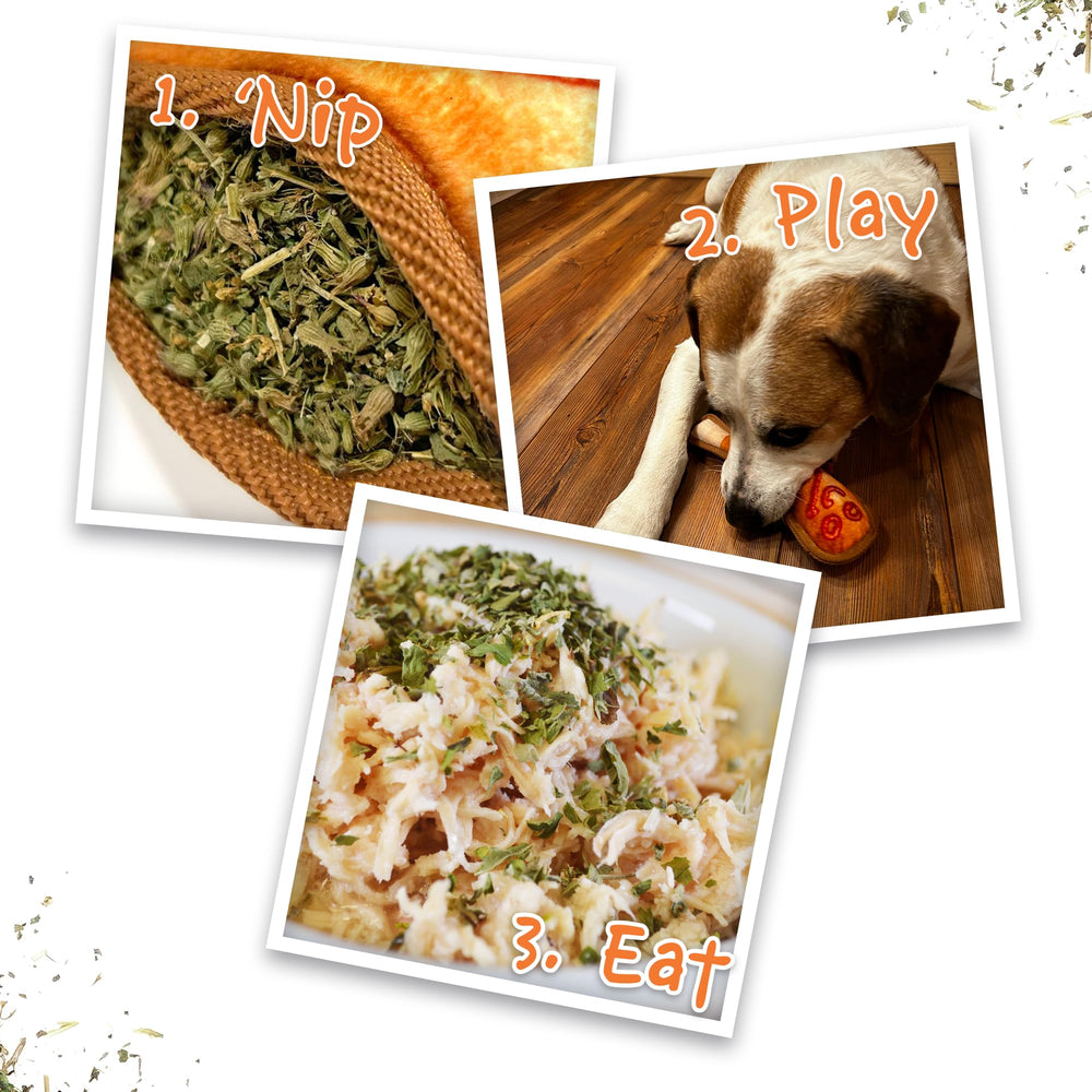 Catnip orgánico con beneficios sensoriales suaves para momentos de estrés del perro.
