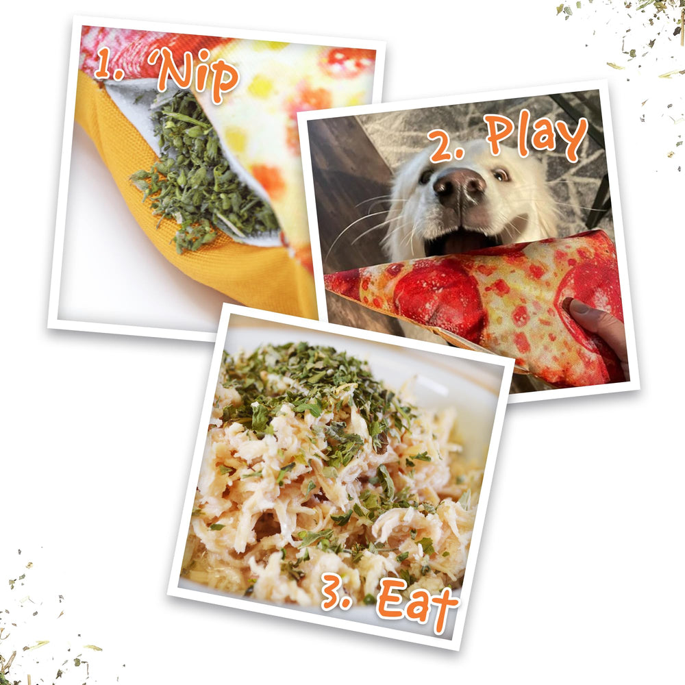 Doggijuana juguete para perros, actividad interactiva que estimula el olfato.