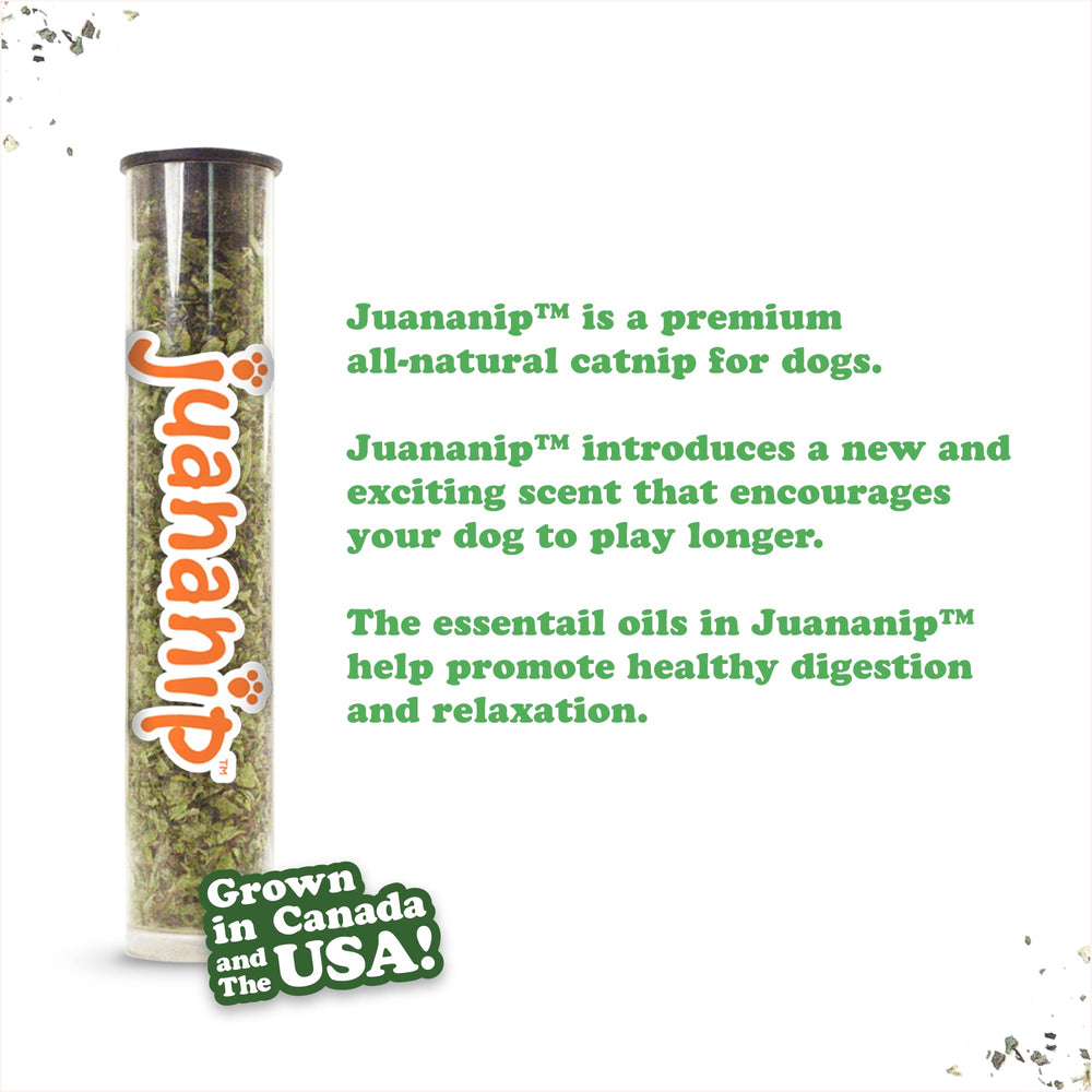 Doggijuana Tuffer Chewer Plush, cuerda reforzada para juego activo y seguro