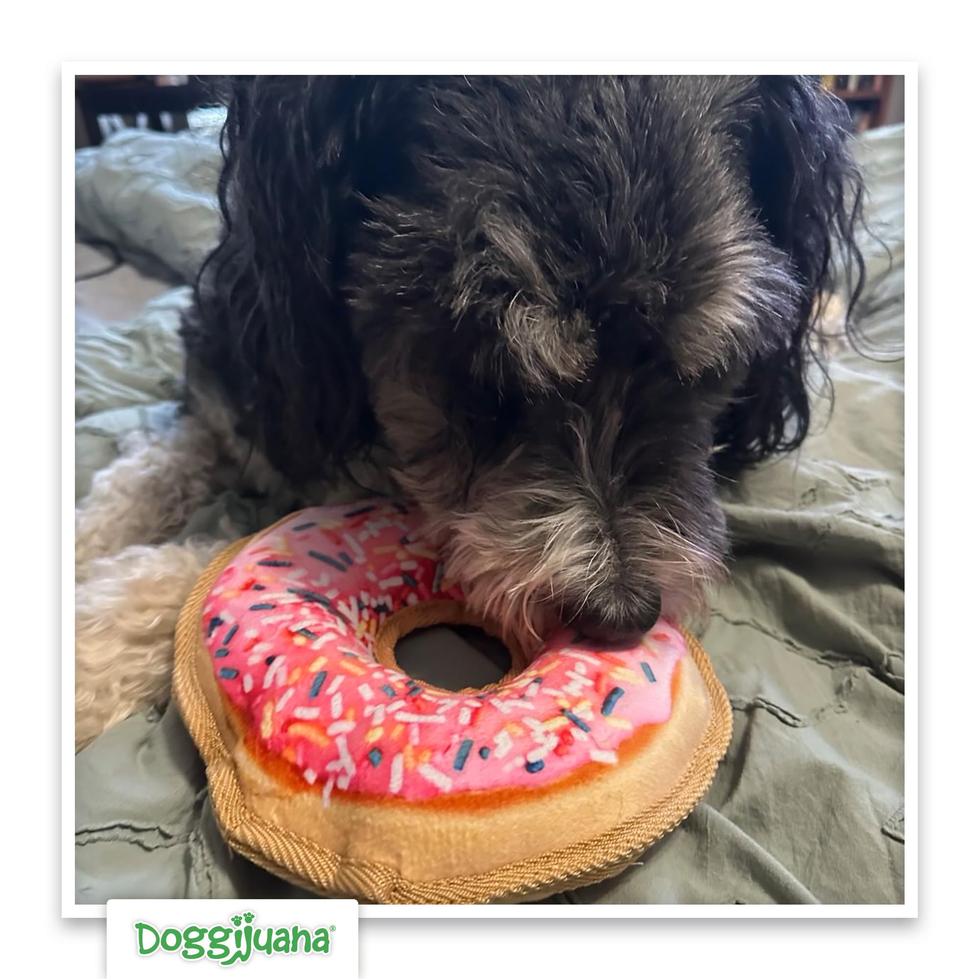 Doggijuana Tuffer Chewer Plush, ideal para perros ansiosos durante momentos de estrés