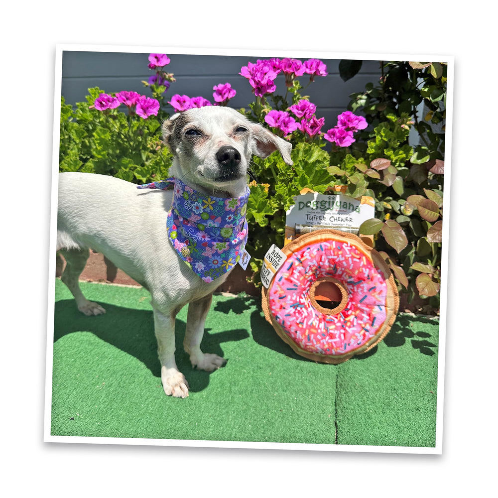 Doggijuana Tuffer Chewer Plush, perfecto para sesiones de juego interactivo supervisado