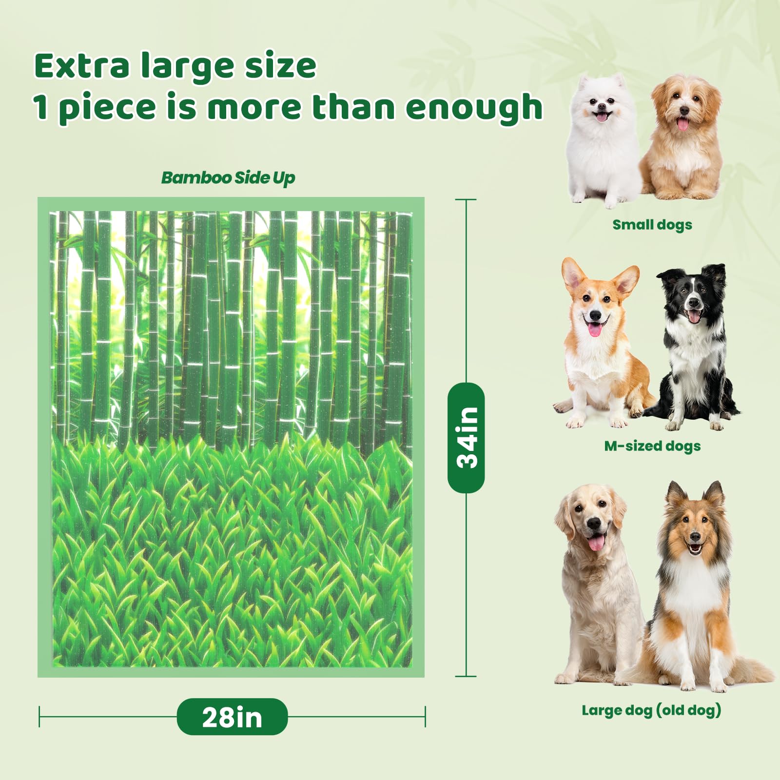 DOGGO DOUG patron-bambu: diseño visual agradable que añade confort durante el uso