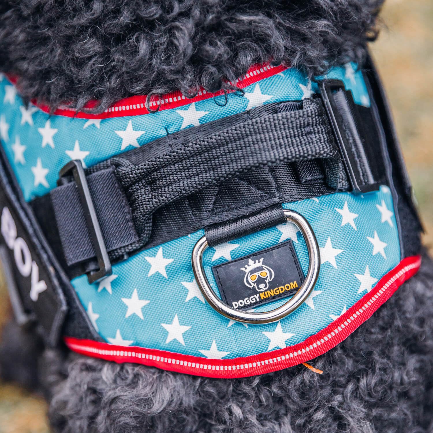 Parches de velcro gratuitos para personalizar el arnés
