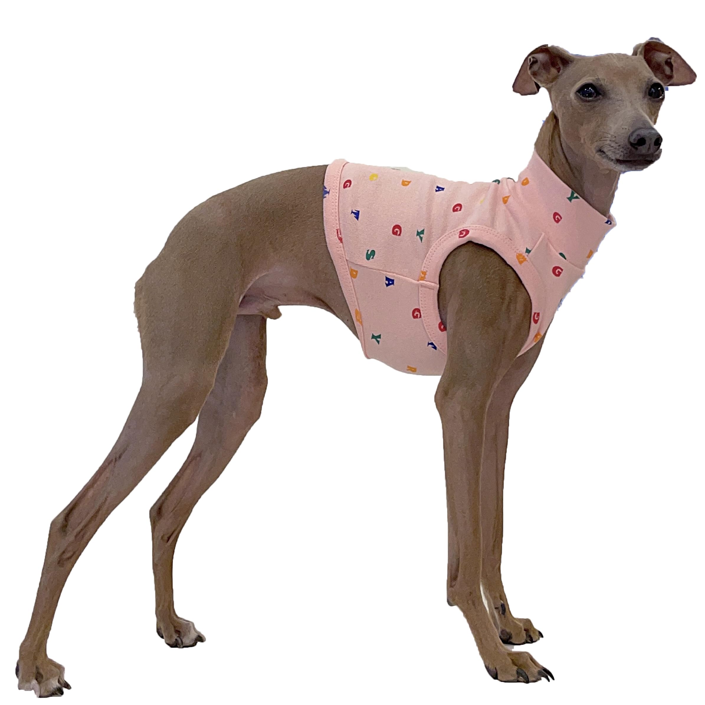 Doggystar camiseta corta elástica para galgo italiano, rosa, ajuste cómodo para paseos