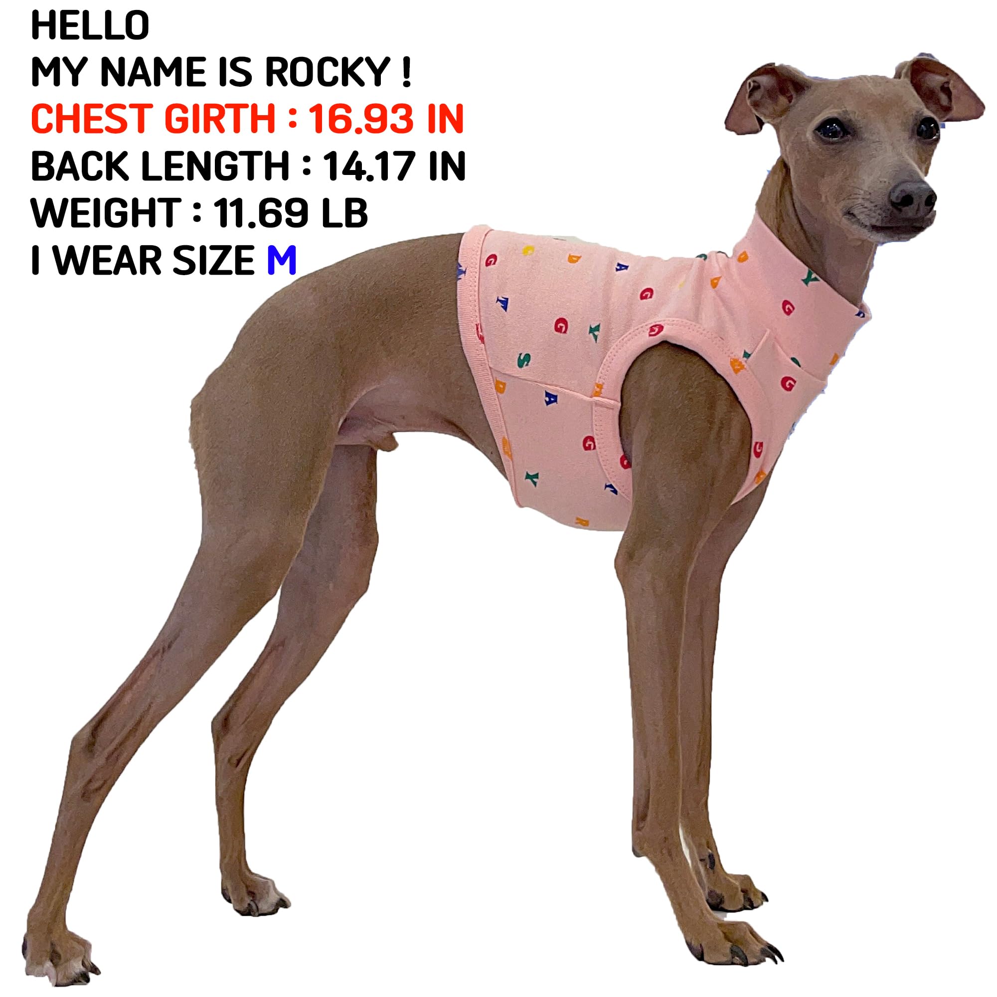 Doggystar camiseta corta elástica para whippet, rosa, fácil de poner