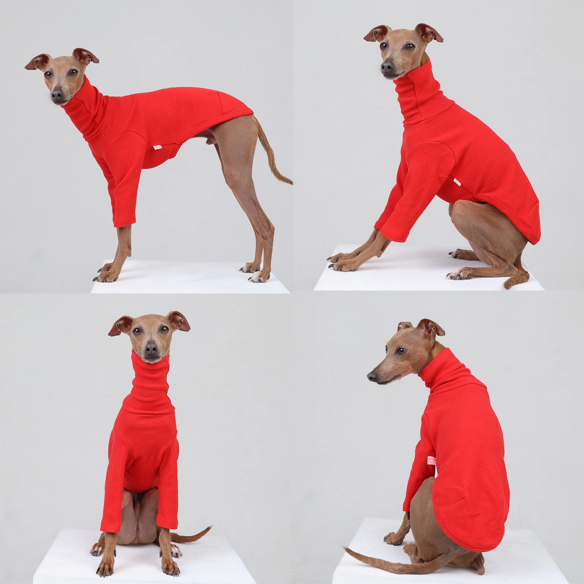 Doggystar camiseta galgo italiano rojo detalle cuello, suave y cómodo al ponérselo.