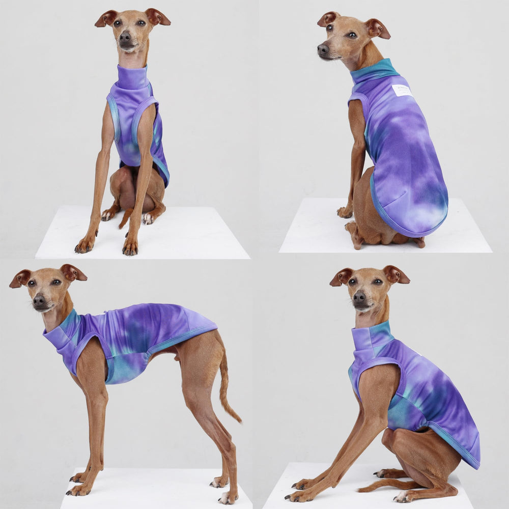 doggystar diseño fácil de colocar y quitar, uso diario cómodo