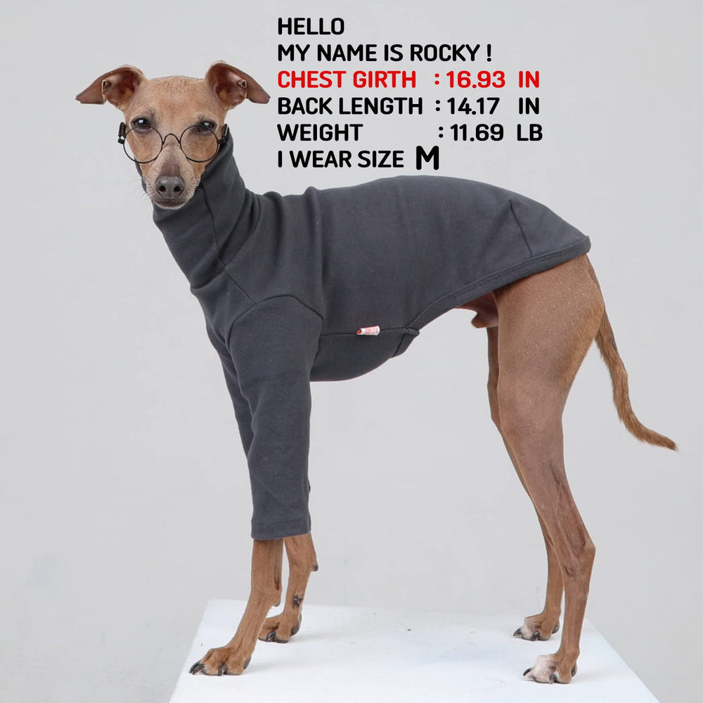 Doggystar camiseta lateral para galgo italiano, ajuste cómodo.