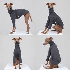 Doggystar camiseta cuello alto para mayor cobertura suave.