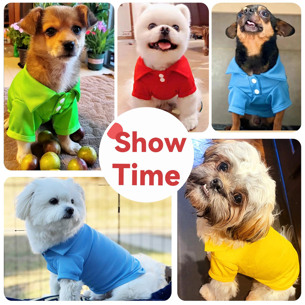 DOGGYZSTYLE conjunto polo para perro, uso diario y ocasiones especiales.