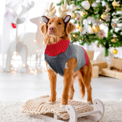 DOGGYZSTYLE detalle tejido suave en sudadera para perro, comodidad al tacto.