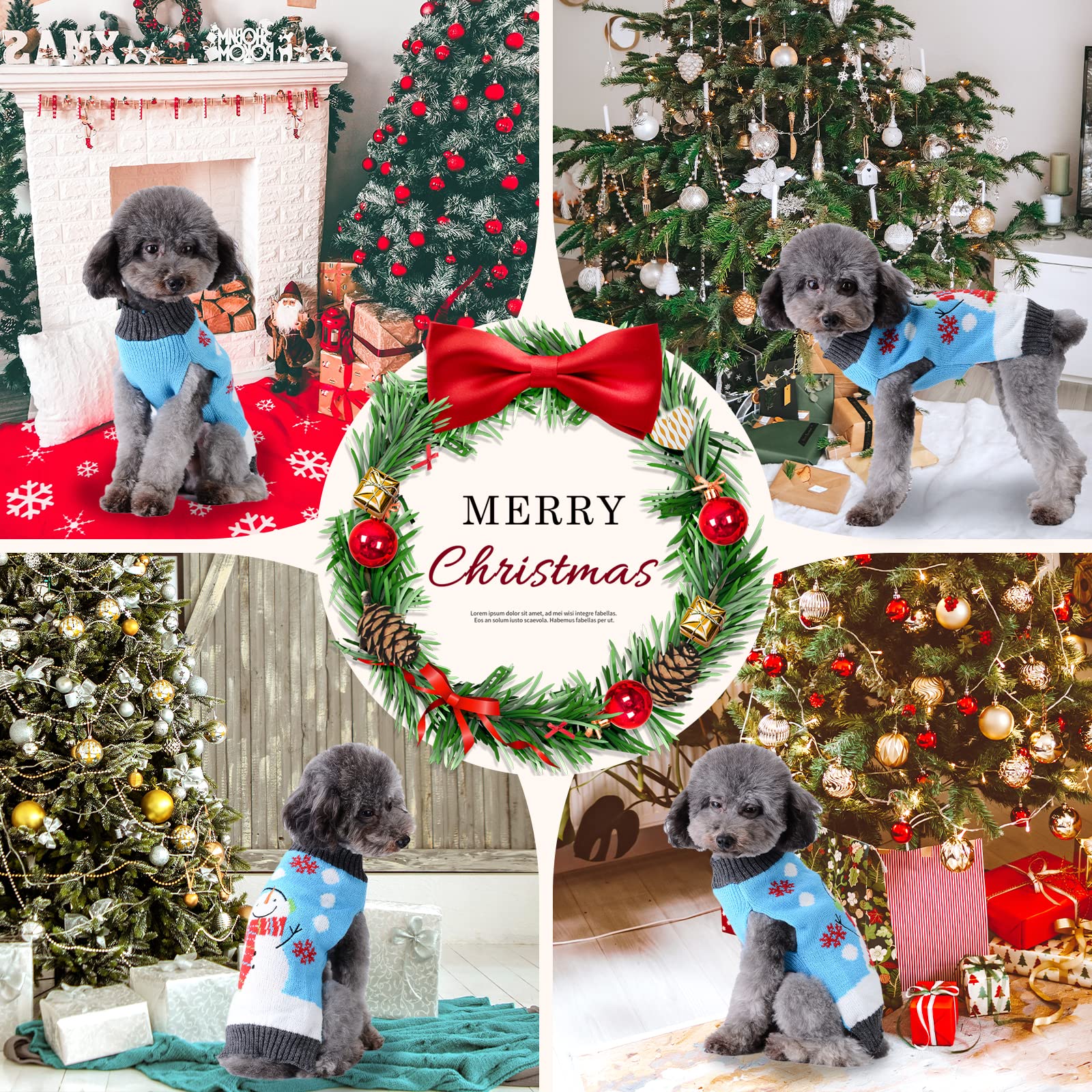 DOGGYZSTYLE regalo navideno perfecto para mascota