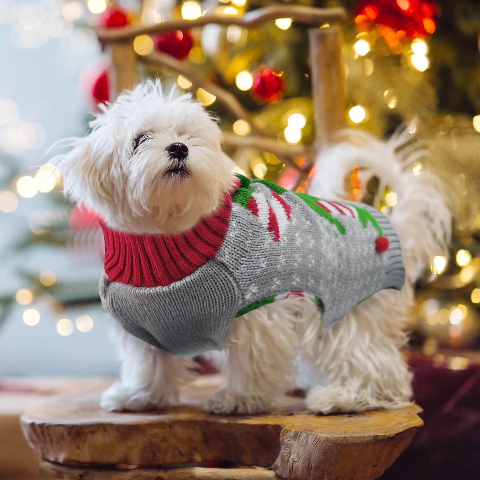 DOGGYZSTYLE look navideño para perro en casa y fiestas.