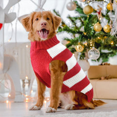 DOGGYZSTYLE sudadera forro interior suave: cálida y cómoda para el invierno.