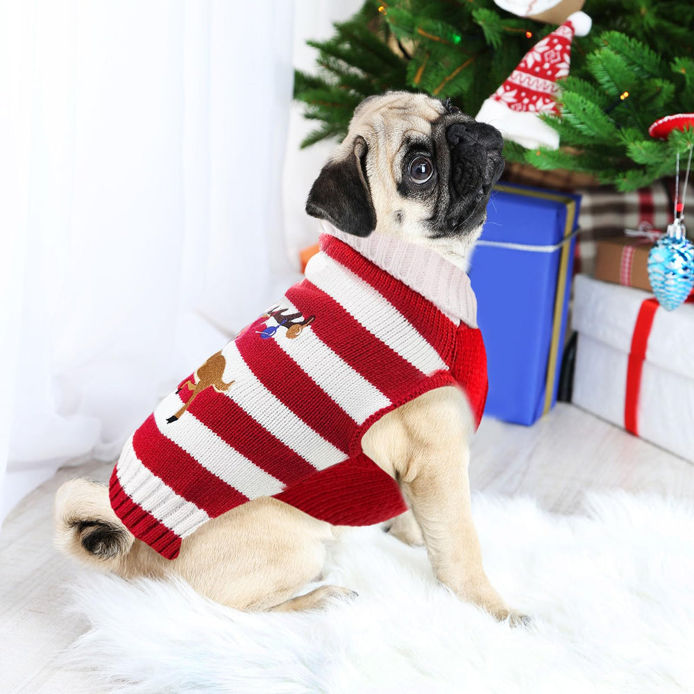 DOGGYZSTYLE diseño festivo para Navidad, perfecto para fotos y paseos.