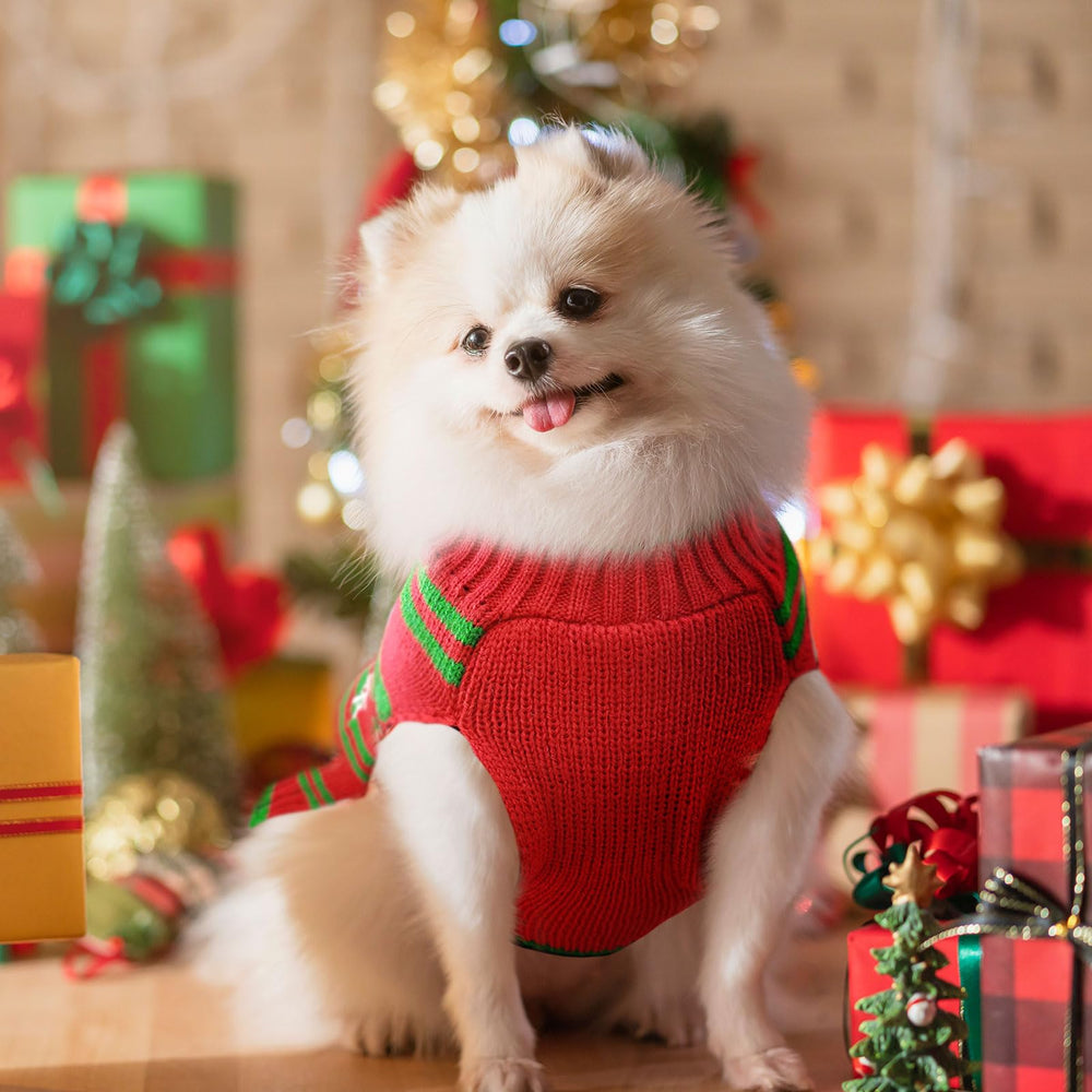 DOGGYZSTYLE regalo ideal para amantes de mascotas durante la Navidad.