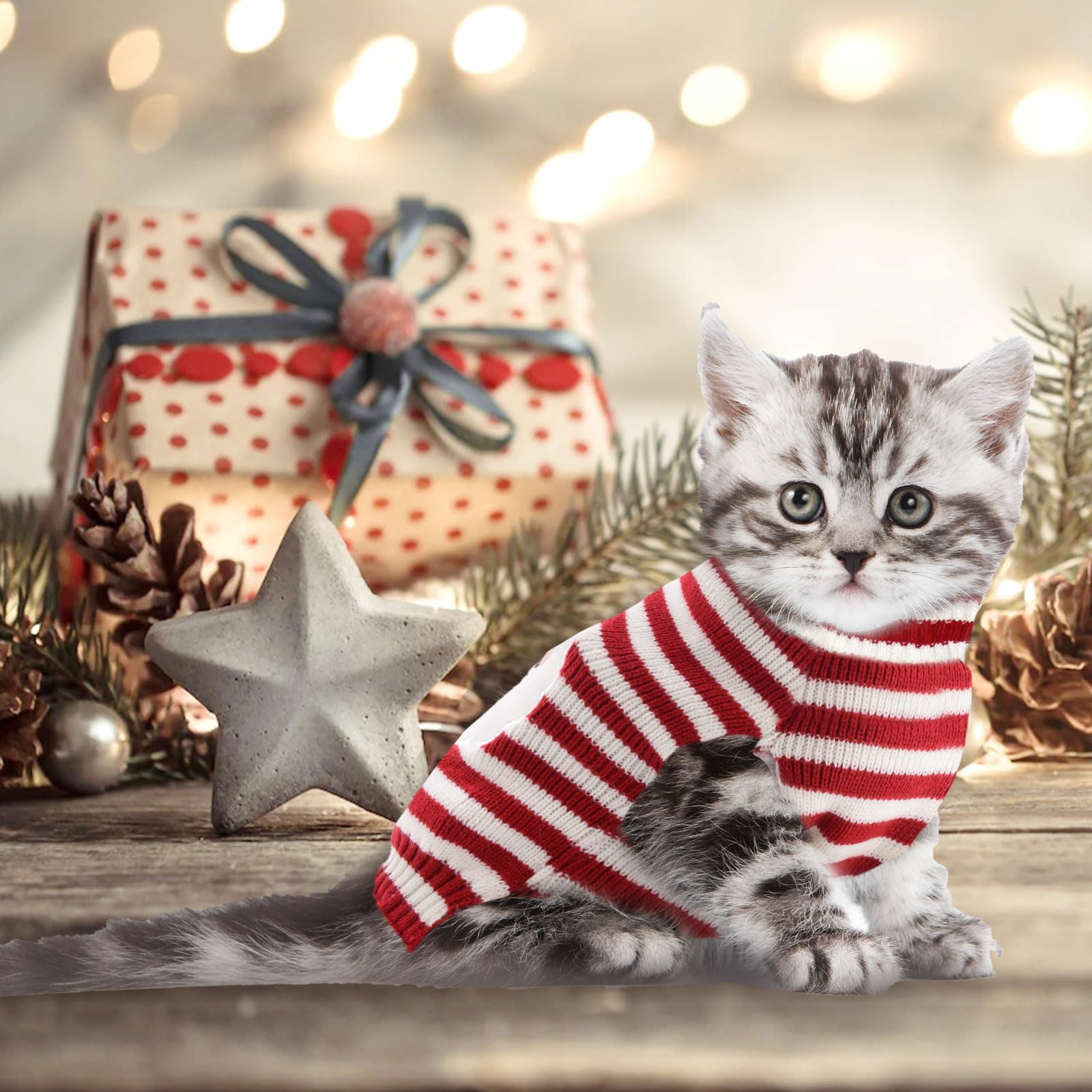 DOGGYZSTYLE perfecta para fiestas y sesiones de fotos navideñas.