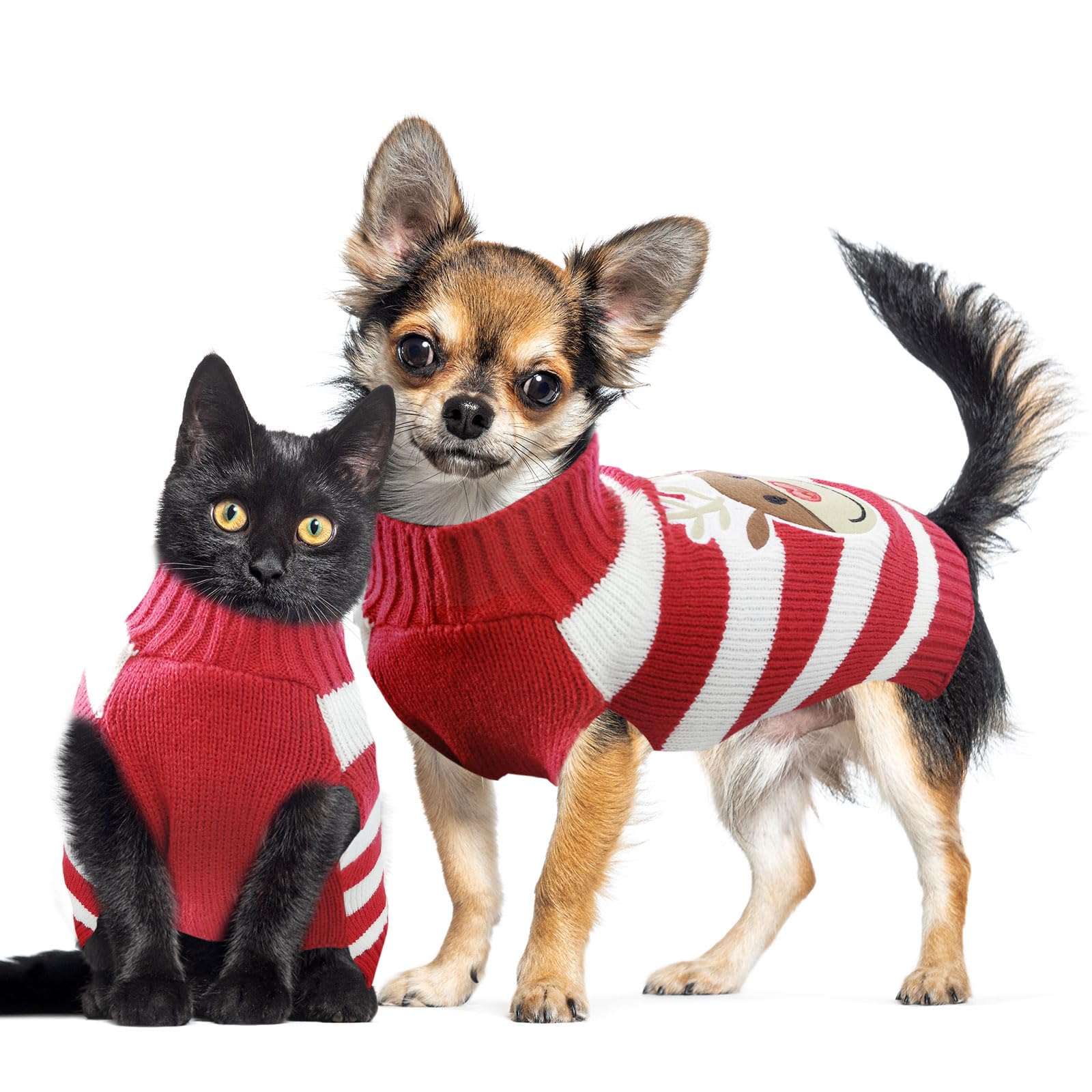 DOGGYZSTYLE sudadera regalo Navidad: perfecto para celebrar con tu mascota.