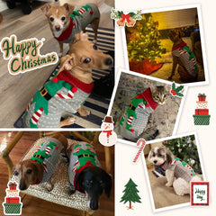 DOGGYZSTYLE cuello alto cálido para perros, perfecto en días fríos.