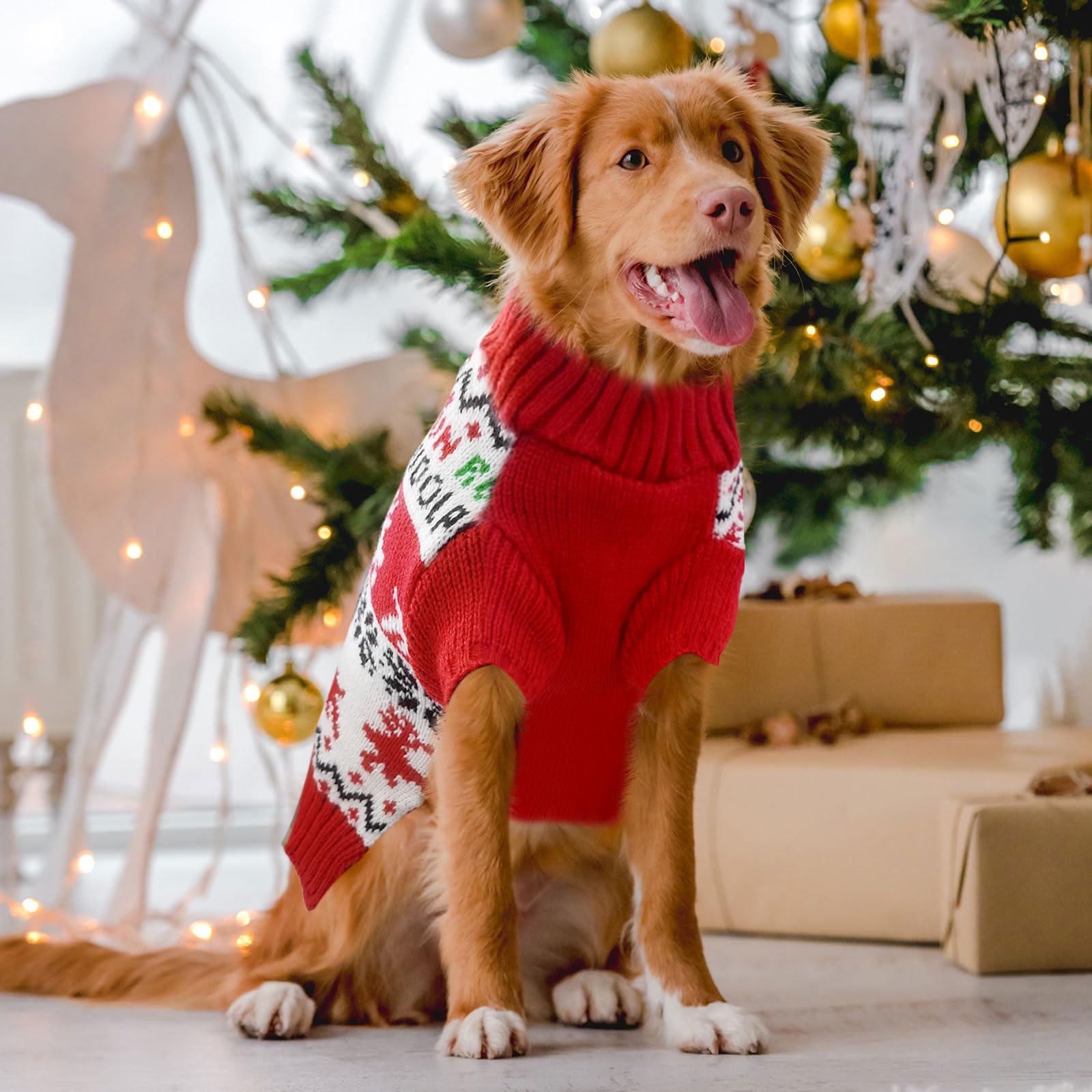 DOGGYZSTYLE tejido suave e interior cómodo para perro
