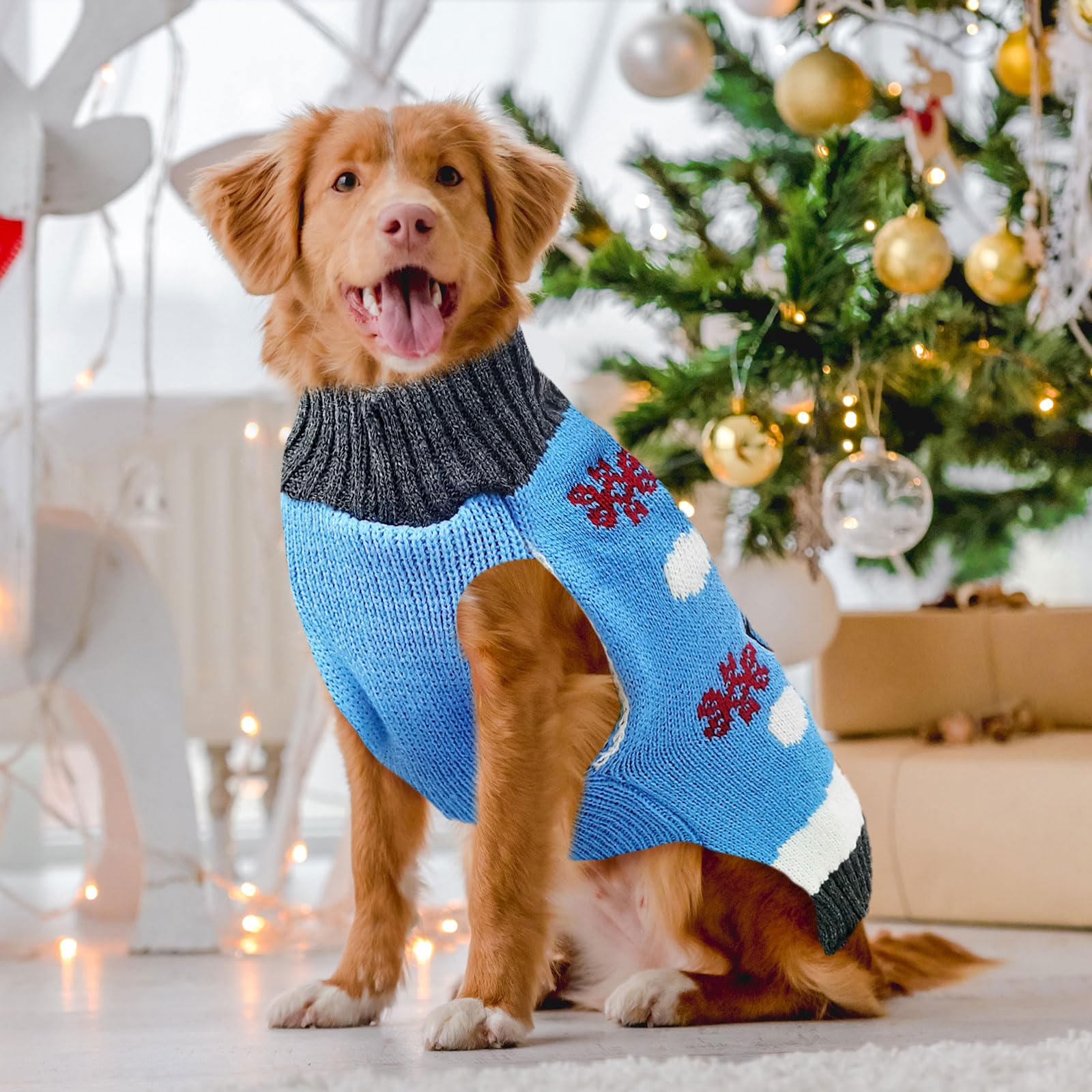 DOGGYZSTYLE sueter azul con forro lana suave comodidad