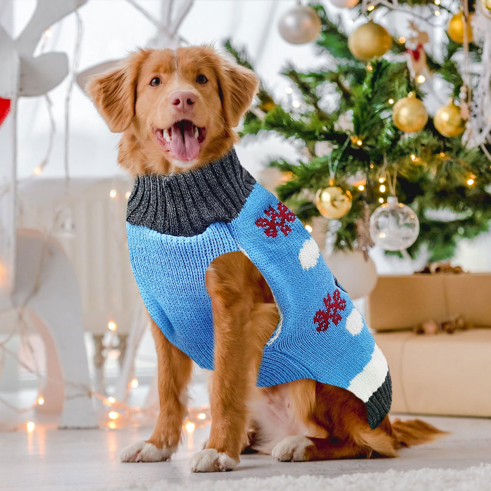 DOGGYZSTYLE sueter azul con forro lana suave comodidad