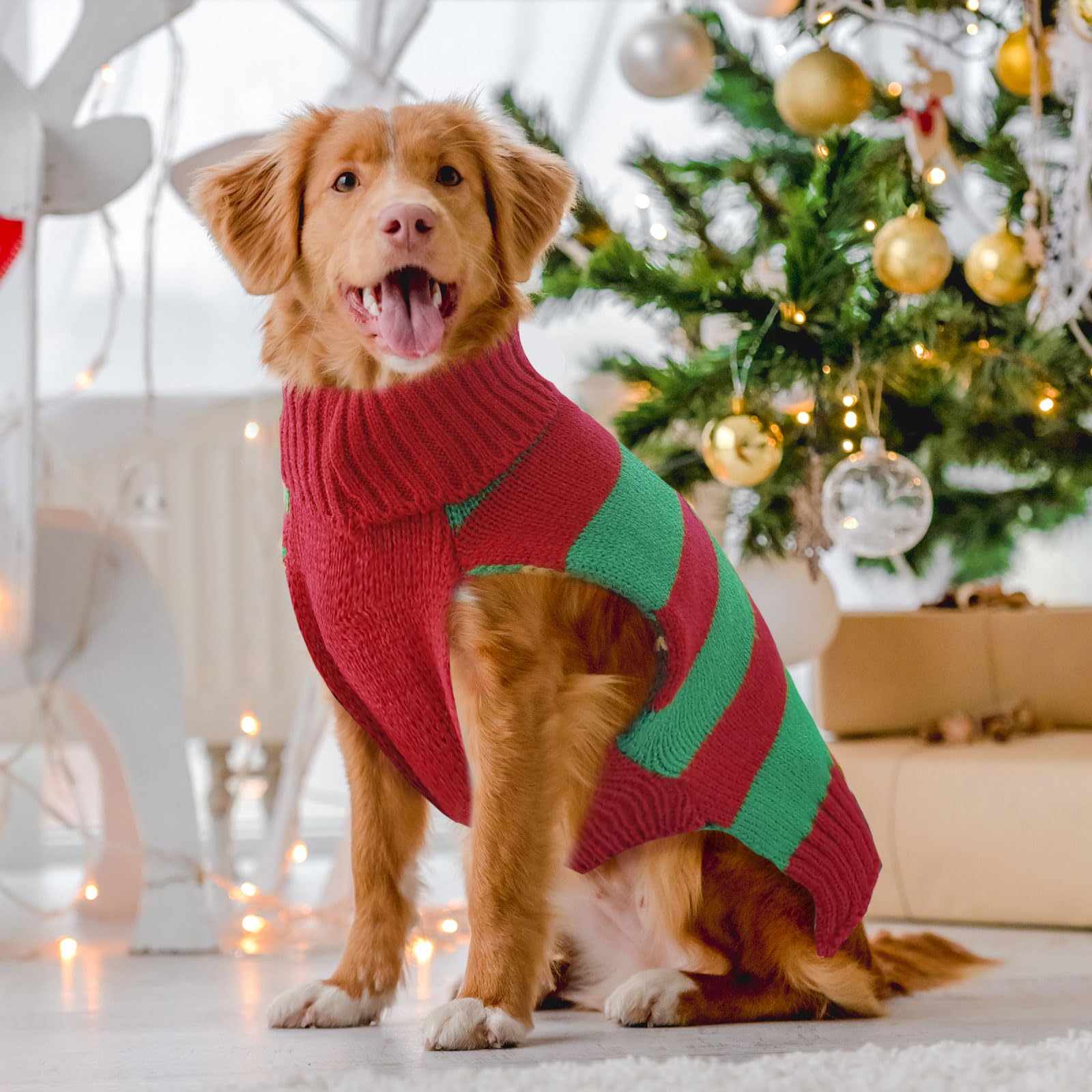 DOGGYZSTYLE suéter rayas verdes rojas: estilo festivo para perros y gatos.
