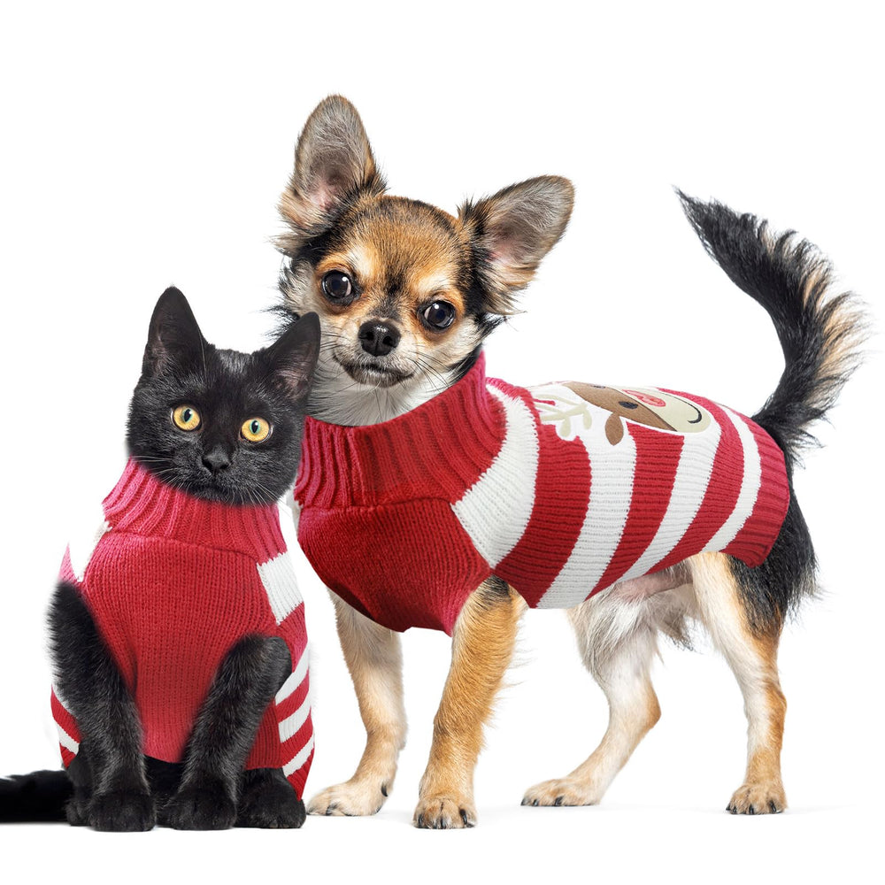 DOGGYZSTYLE detalle de tejido suave para prenda cómoda en días fríos.