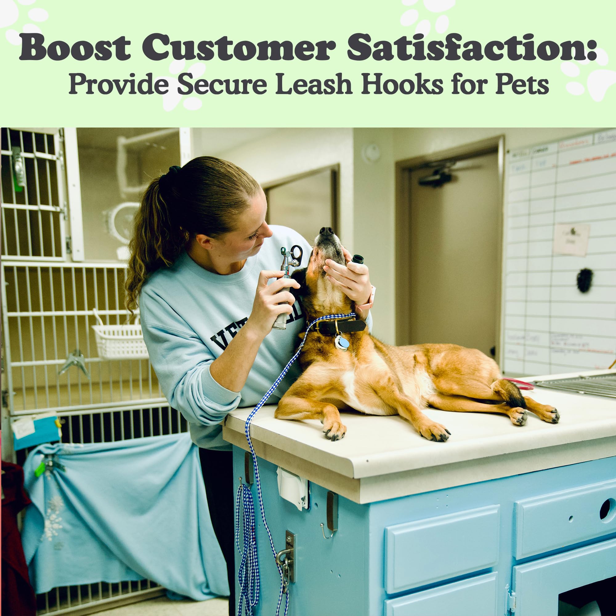 Doghook Canine Hitch: seguridad para múltiples perros.