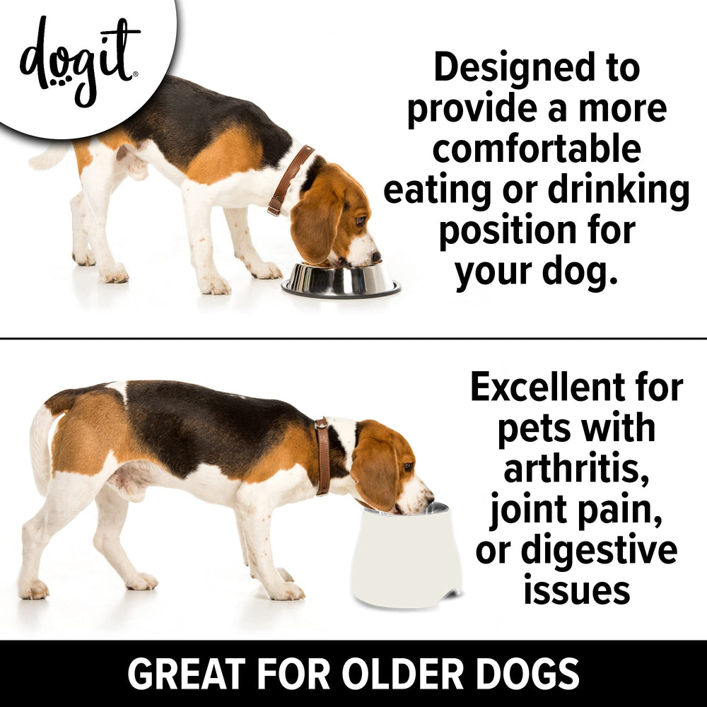 Dogit inserto de acero inoxidable, apto para lavavajillas y fácil de limpiar