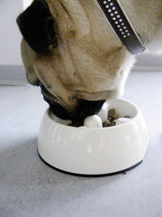 Dogit comedero lento para perro blanco, compatible con comida seca, ayuda a comer con calma