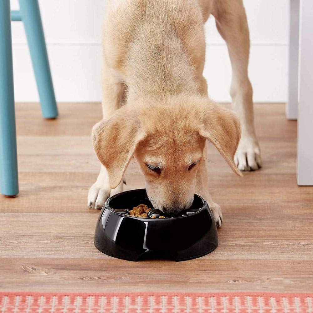 Dogit tazon alimentacion comoda promueve rutina de comida amable.
