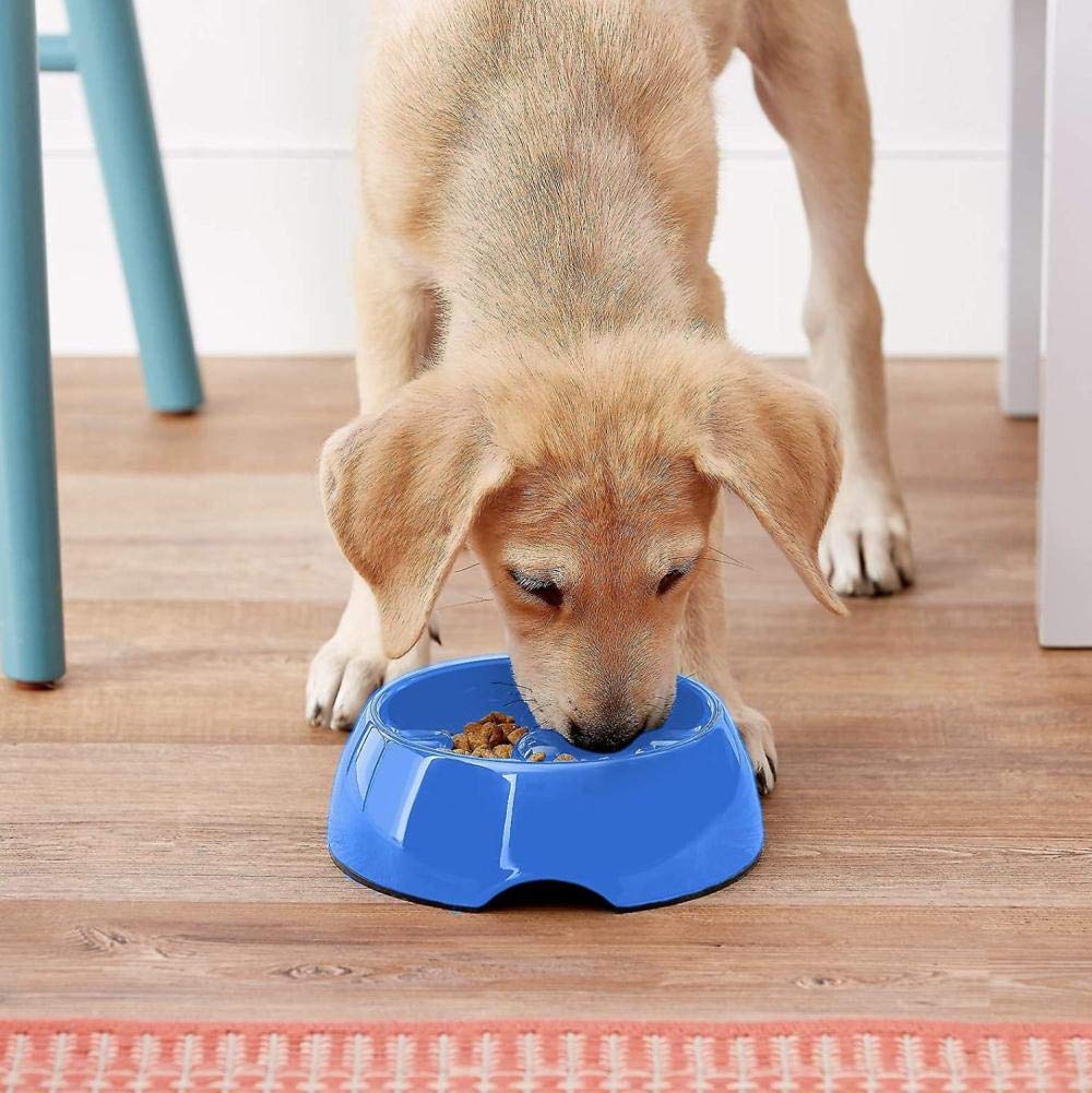 Dogit tazon diseno ergononomico favorece postura durante la comida.