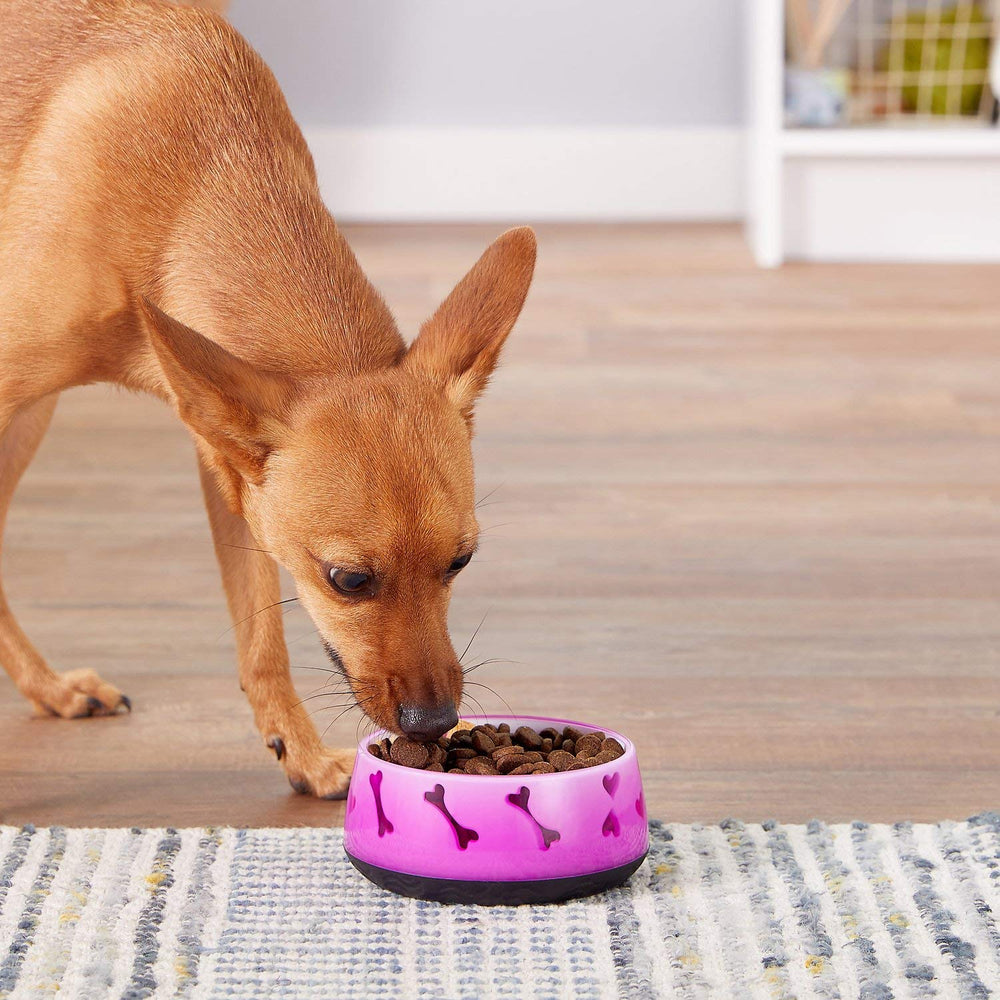 Dogit tazón rosa para comida y agua diario, diseño práctico.