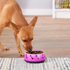 Dogit tazón rosa para comida y agua diario, diseño práctico.