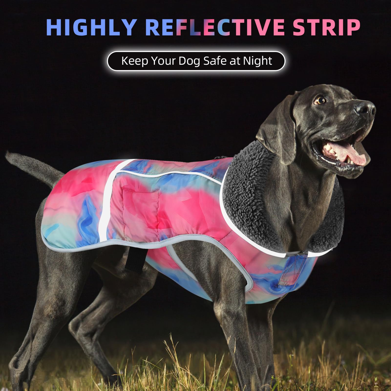Doglay abrigo con cremallera impermeable para ajuste seguro.
