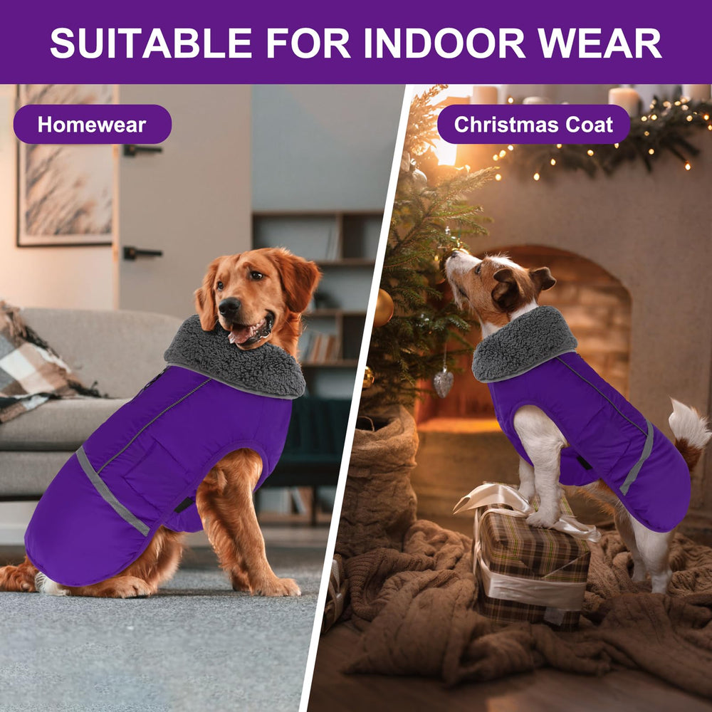 Doglay opción de regalo ideal para fiestas como Navidad o Acción de Gracias.