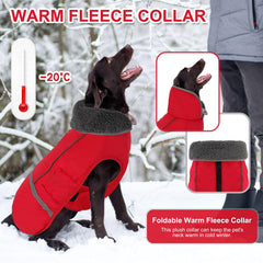 Doglay abrigo-perro reflectante, dorso visible para seguridad nocturna.