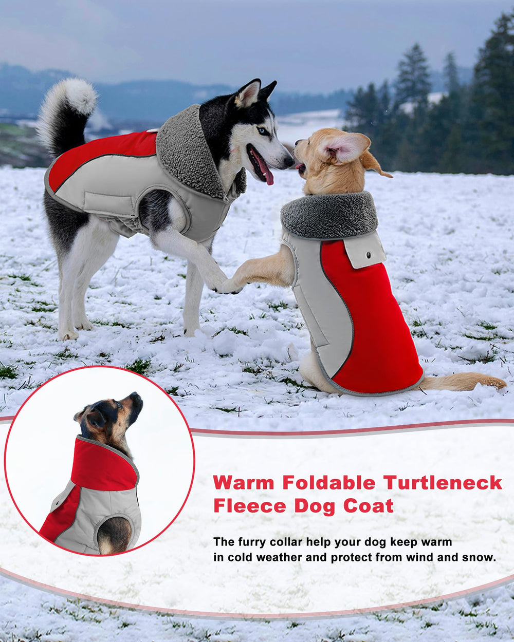 Doglay abrigo de perro material impermeable para mantenerlo seco.