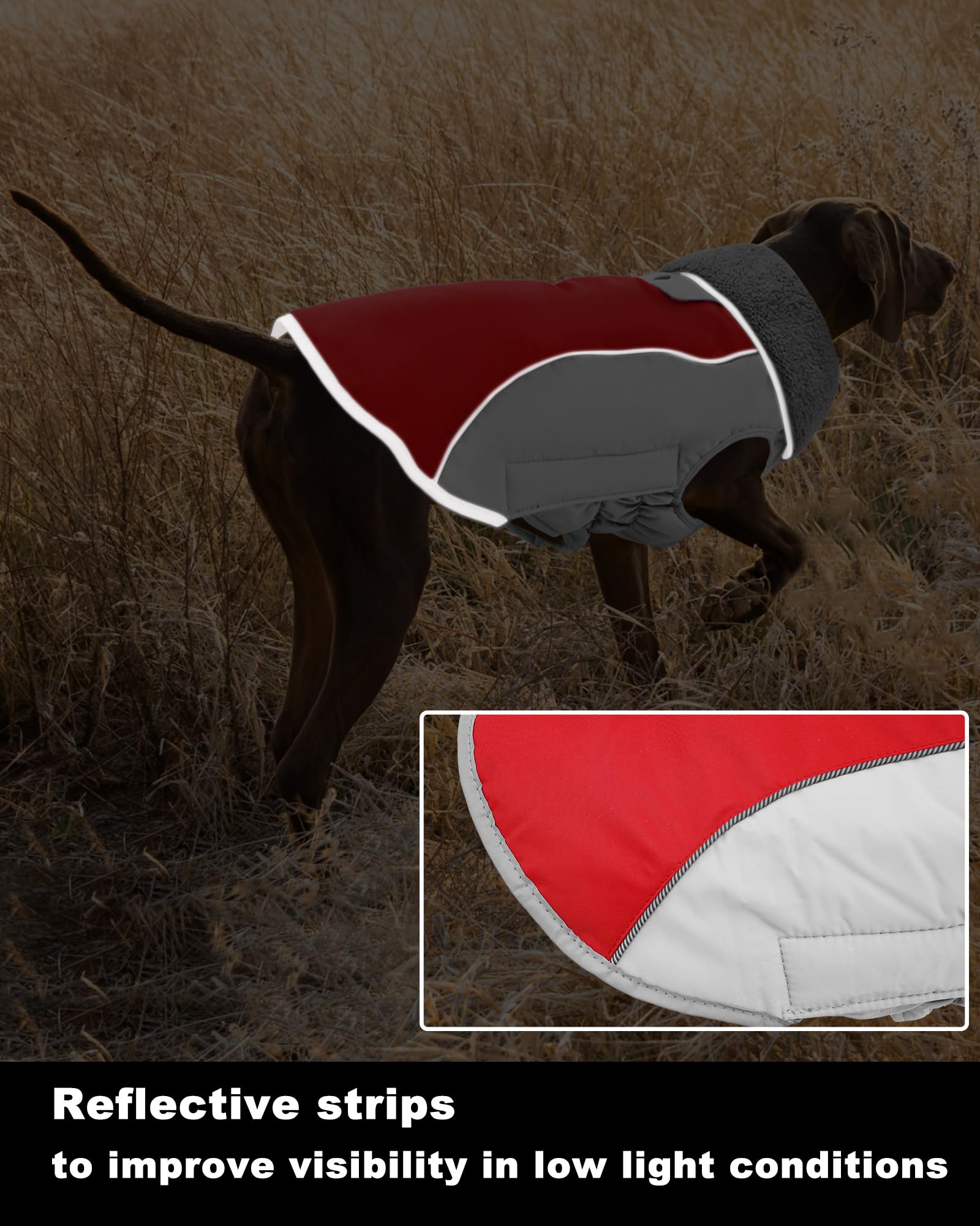Doglay abrigo de perro tallas disponibles para diversas razas.
