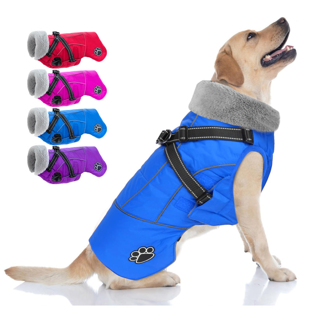 Doglay abrigo con arnés incorporado, comodidad y seguridad para paseos.