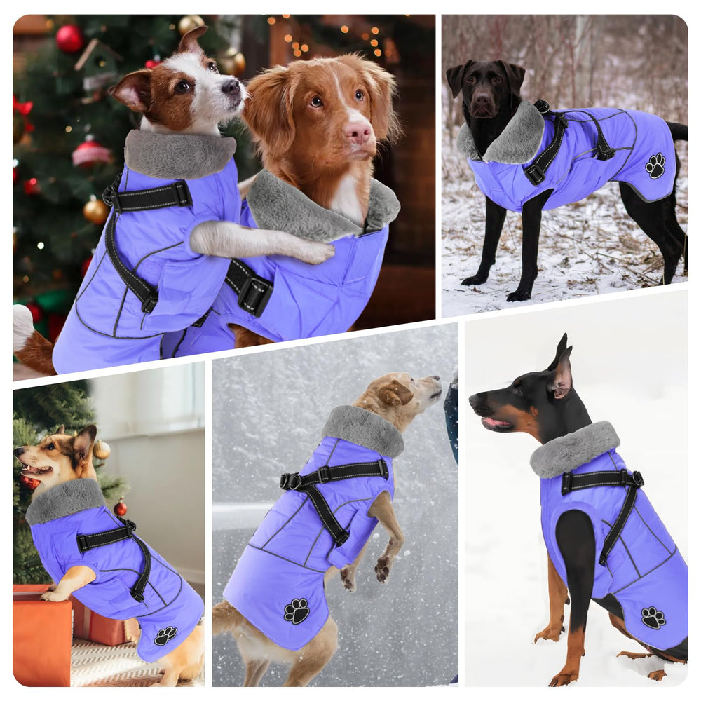 Doglay capa impermeable y resistente al viento mantiene al perro seco.