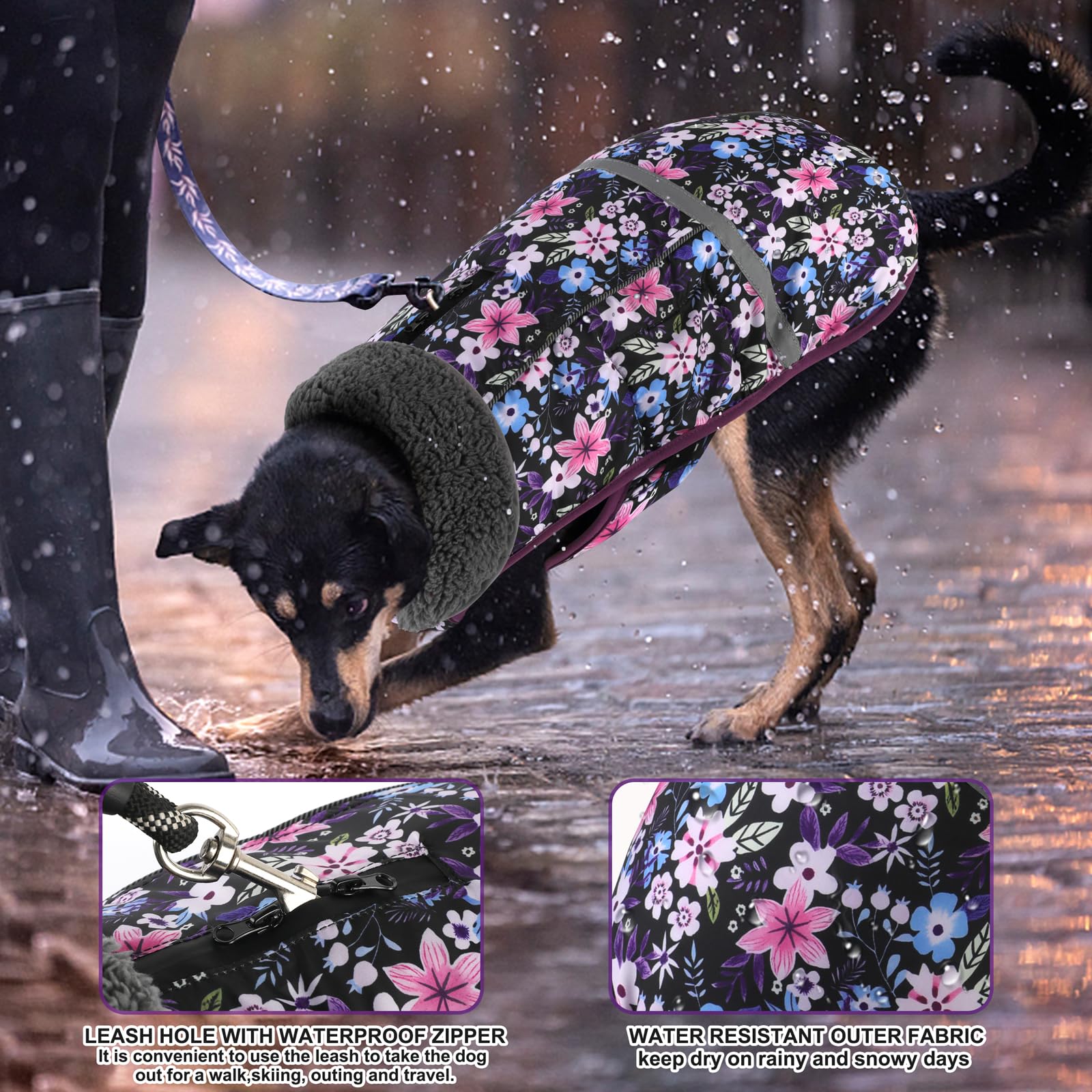 Doglay exterior de nylon impermeable y duradero para días de lluvia