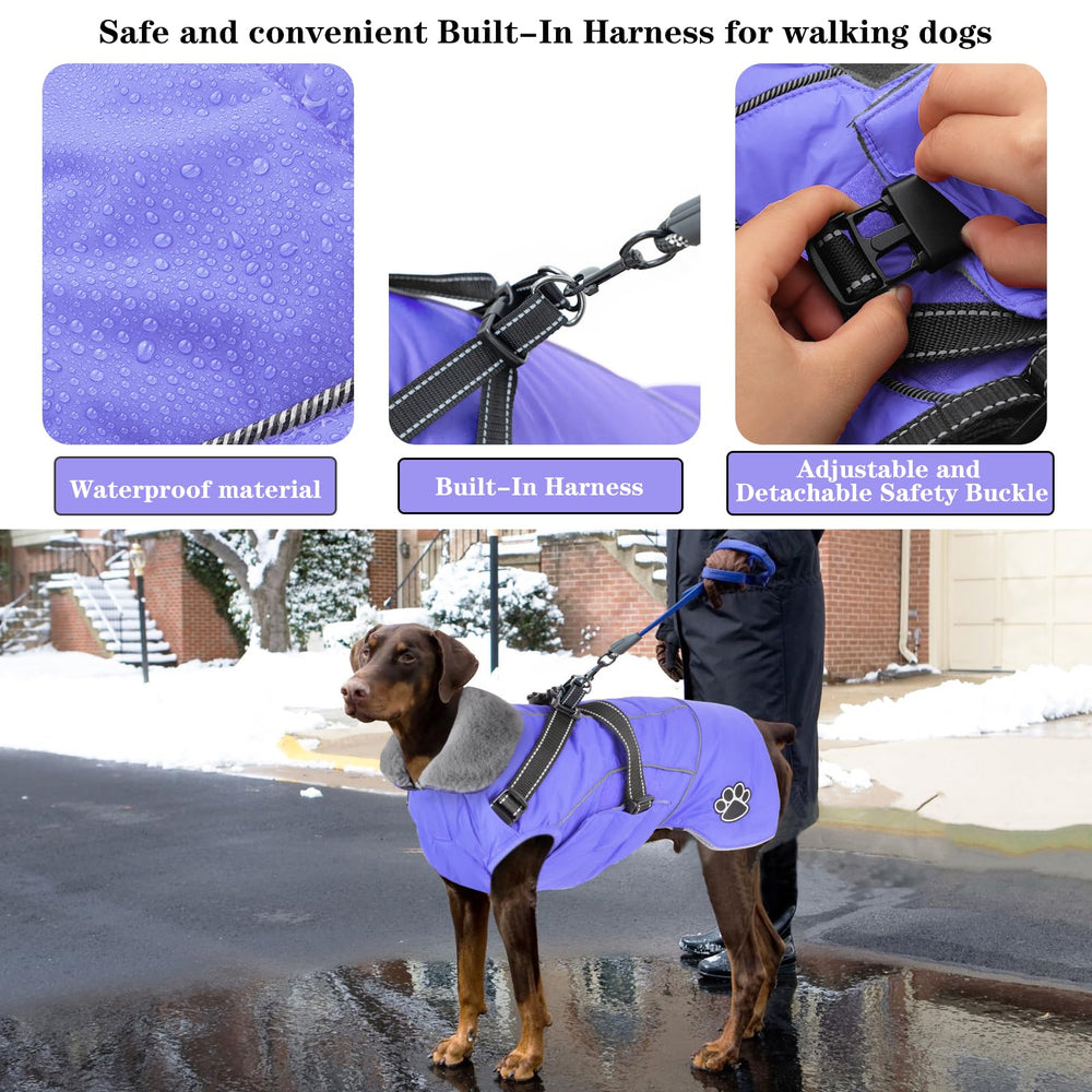 Doglay capa disponible en tallas variadas para todo tipo de perros.