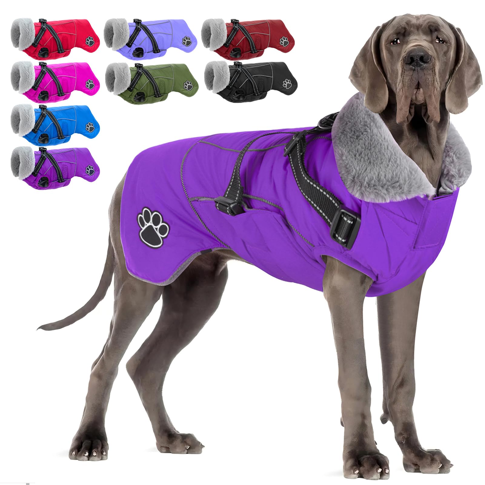 Doglay cazadora impermeable con arnés integrado para paseos seguros.
