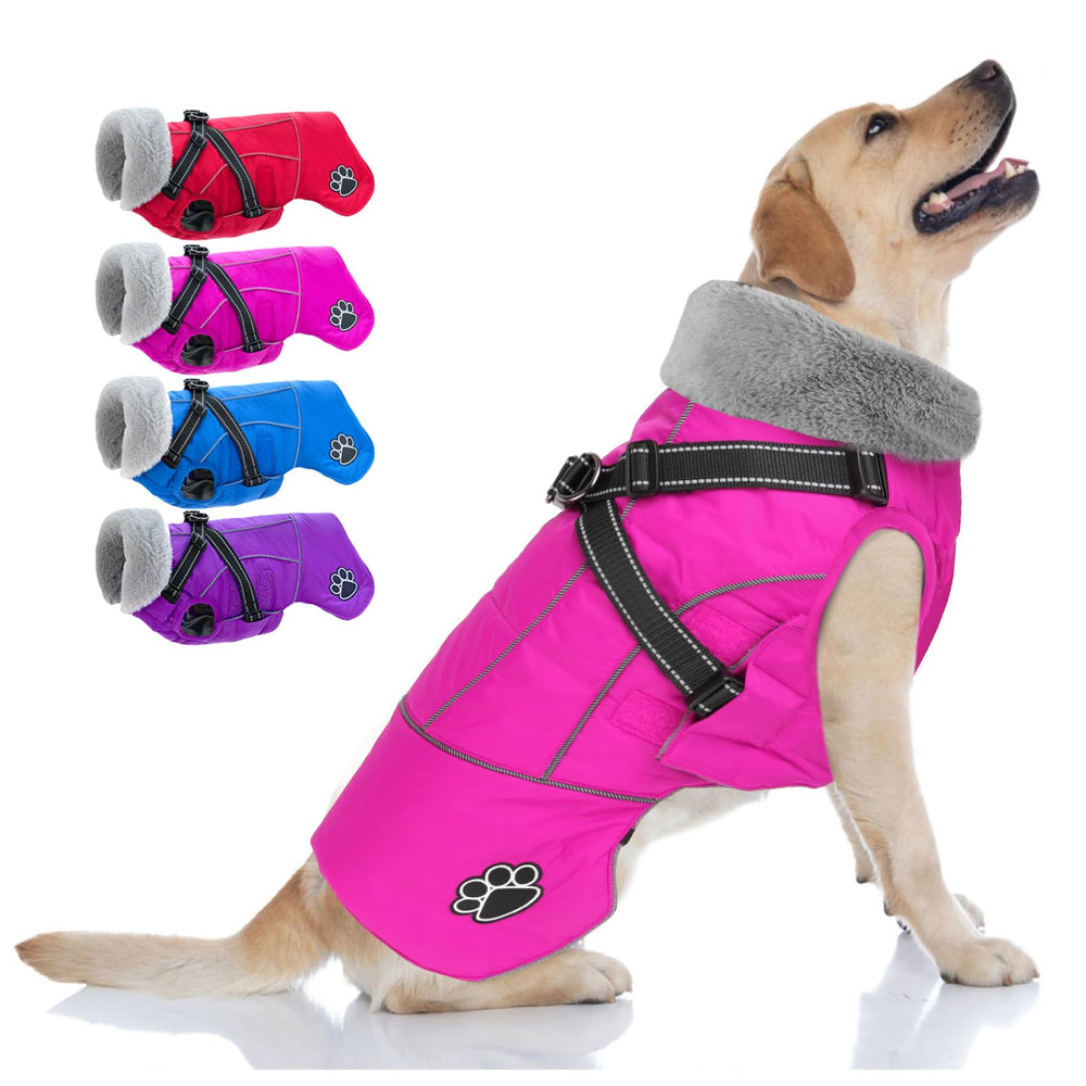Doglay chaleco para perro con arnés integrado, ideal para paseos seguros